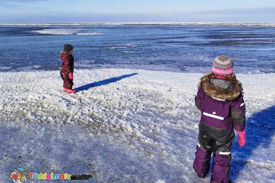 Schneeanzüge für Kinder im Test - Titelbild Kinder mit Didriksons und Reima Overalls