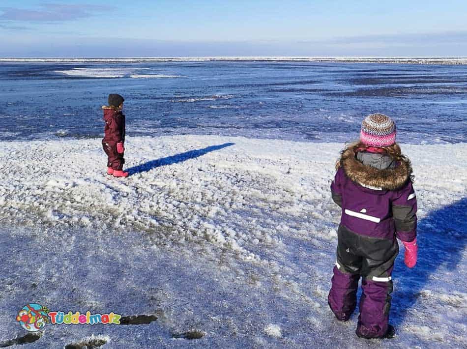 Schneeanzüge für Kinder im Test - Titelbild Kinder mit Didriksons und Reima Overalls