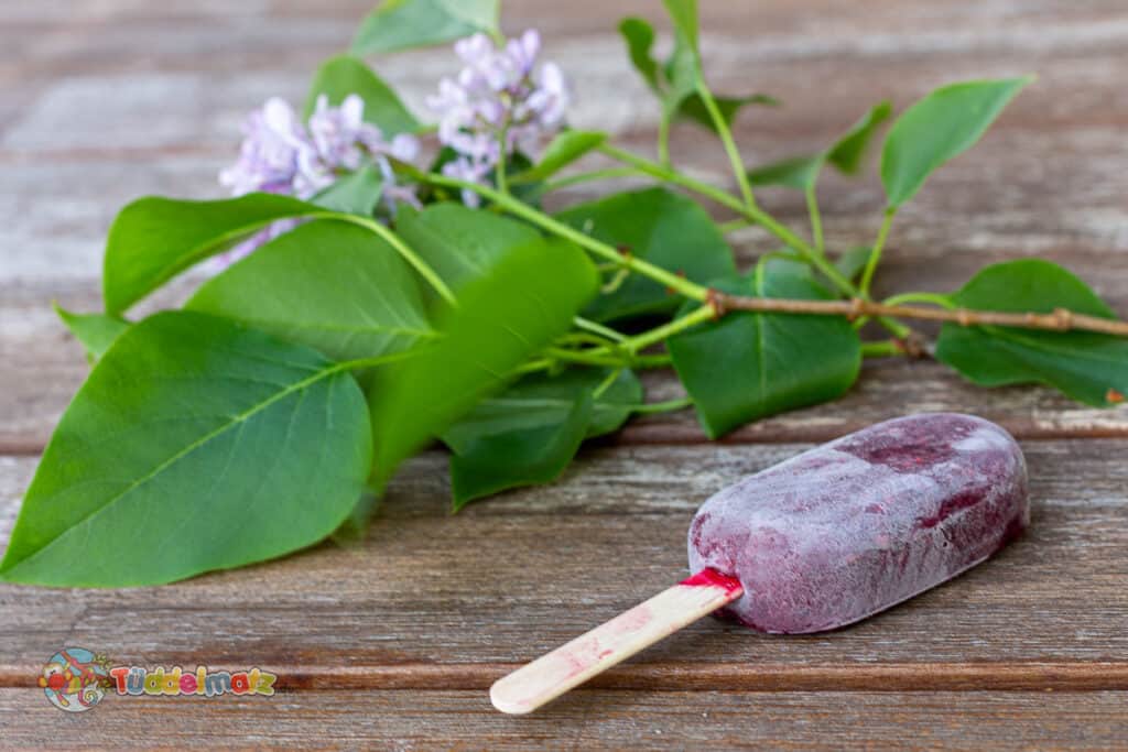 Fruchteis mit den Kindern selber machen - Eis auf dem Tisch