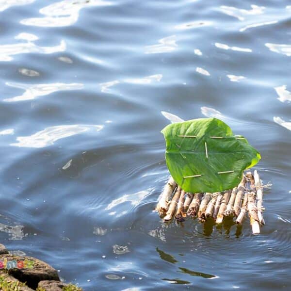 Floß bauen: Titelbild mit Floß im Wasser