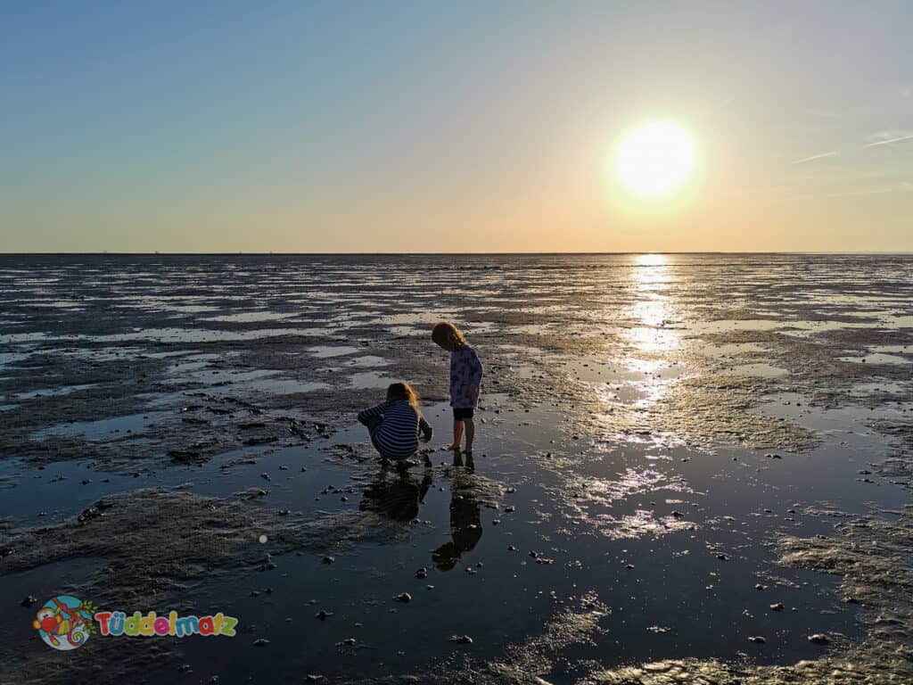 Kinder Barfuß im Wattenmeer während der Mutter-Kind-Kur an der Nordsee