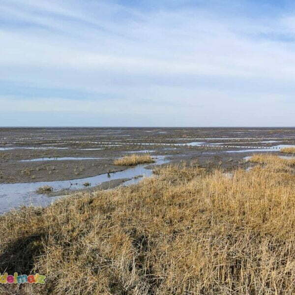 Mutter-Kind-Kur an der Nordsee während Corono - Wattenmeer