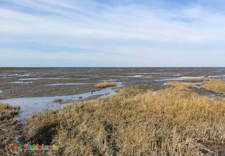 Mutter-Kind-Kur an der Nordsee während Corono - Wattenmeer