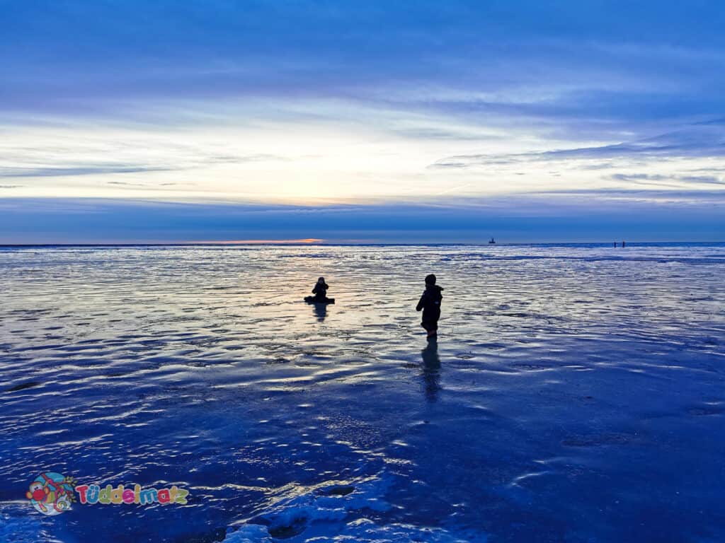 Blaue Stunde im Watt