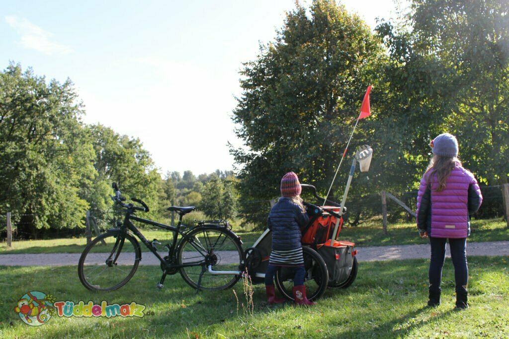 Der Thule Chariot Cross 2 mit den Kindern